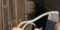 Johnny Depp, Vanessa Paradis, "retranchés" dans le Var, "trahis" par leur fille (photo)