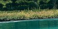 Karine Ferri, Yoann Gourcuff, lac privé, en mode frime en Bretagne (photo)