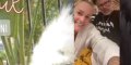 Laeticia Hallyday, état rassurant à Saint-Barth - Elle annonce une réjouissante nouvelle