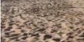 Laura Smet, « heureuse », son message énigmatique sur une plage paradisiaque (photo)