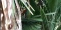 Laure Manaudou, étrange « rencontre » en forêt, un appel au secours (photo)