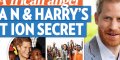 Prince Harry, Meghan Markle, bébé africain, l'adoption se confirme (photo)