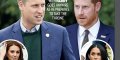 Prince William détraqué, erratique, l'étonnant rôle de Kate Middleton (photo)