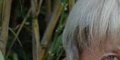 Renaud rayonne, relooking extrême, bistouri, gros changement (photo)