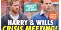 Prince William et prince Harry, retrouvailles secrètes après 386 jours de séparation (photo)
