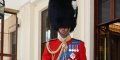 Pince William méconnaissable avec sa barbe à Trooping the Colour !