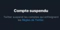 Pourquoi le compte Twitter de TPMP a été désactivé ?