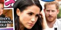 Prince Harry et Meghan Markle, le désastre, odieux comportement (photo)