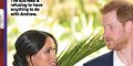 Prince Harry et Meghan Markle, valise pleine de drogue dans le jardin, un interrogatoire d'une heure
