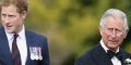 Prince Harry mis à l'écart : il apprend l'hospitalisation de son père par les médias !