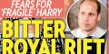 Prince William, Kate Middelton, « un point de rupture », revanche au goût amer sur Harry (photo)