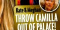 Prince William, Kate Middleton, « plan diabolique » pour écarter Camilla Parker-Bowles