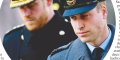 Prince William, Kate Middleton, portrait de la discorde avec Harry, une photo relance les hostilités