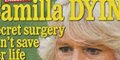 Prince William ménage Camilla Parker-Bowles, une bataille secrète contre le cancer