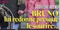 Ségolène Royal, Bruno Colmant lui redonne presque le sourire