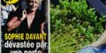 Sophie Davant, une perte, sa méthode révolutionnaire pour tenir (photo)