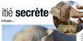 Stéphanie de Monaco et Camilla Parker-Bowles, révélation sur leur amitié secrète