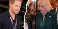 « Tu es une honte pour ton père », Camilla Parker-Bowles s'en prend à Harry, retrouvailles houleuses