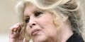 Urgence pour Paul Watson : Brigitte Bardot implore Emmanuel Macron