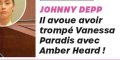 Vanessa Paradis trompée par Johnny Depp, la vraie raison de leur rupture