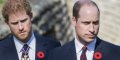 Prince Harry et William : le secret qui enterre leur réconciliation