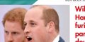 William et Harry, un double divorce, fâchés après la trahison de Kate Middleton et Meghan Markle