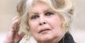 Brigitte Bardot dégoutée par Bertrand Cantat