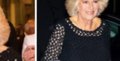 Camila Parker-Bowles rusée, elle « provoque » Charles avec un autre homme (photo)