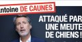 Antoine de Caunes attaqué par une meute de chiens