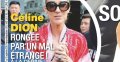 Céline Dion, rongée par un mal étrange, à la dérive sans René
