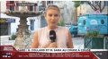 Gilbert Collard, le joli lapsus d'une journaliste de LCI (vidéo)