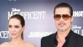 Angelina Jolie seule sans Brad Pitt. Elle a perdu son meilleur ami