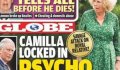 Camilla Parker Bowles « internée » en psychiatrie (photo)
