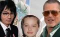 Brad Pitt : Maddox suit Shiloh et efface le nom “Pitt”