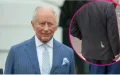 Charles III : en pleine visite en Irlande du Nord, une mouette provoque un moment gênant