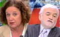 Elisabeth Lévy et CNews : bras de fer après une critique contre Vincent Bolloré