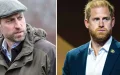 « Je ne veux plus continuer » : le prince William tranche et écarte Harry