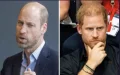 « Il n'est pas digne de confiance » : le veto du prince William après les retrouvailles de Harry et du roi Charles !