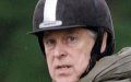 Prince Andrew « rêve d'être tué à coups de cheval » pour « mettre fin aux souffrances » 