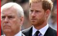  Prince Harry aurait « pété un câble et fracassé Andrew » après une insulte contre Meghan Markle 