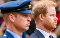 « Prince Harry regrette William » : le cri du cœur après six ans de rupture