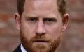 Prince Harry : son tacle cinglant contre Donald Trump pour l'honneur de ses « amis » tombés 