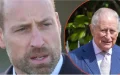 Prince William : alors que Charles lutte contre le cancer, tout semble basculer