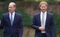 Prince William ou Prince Harry : qui aurait fait le meilleur Roi pour l'Angleterre ?
