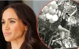 « Besoin d'attention embarrassant » : Meghan Markle critiquée après sa photo d'anniversaire 