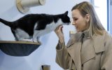 Charlène de Monaco bouleverse les internautes avec un chat à la SPA