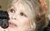 Laeticia Hallyday : son vibrant hommage à Brigitte Bardot depuis la Thaïlande 