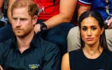 Prince Harry, producteur de Cookie Queens : son documentaire devancé par des vidéos de chats