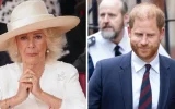 Prince Harry : ce qu'il reproche ouvertement à la reine Camilla