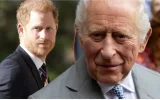 Prince Harry : il veut revoir Charles avec ses enfants, mais pose une condition
